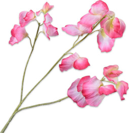 Silk-ka Kunstbloem-Zijden Bloem Lathyrus Tak Roze-Crème 66 cm Voordeelaanbod Per 2 Stuks