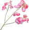 Silk-ka Kunstbloem-Zijden Bloem Lathyrus Tak Roze-Crème 66 cm Voordeelaanbod Per 2 Stuks