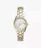 Fossil Scarlette Mini ES4319 - Dameshorloge 32 mm - Waterdicht 5 ATM - Zilverkleurig