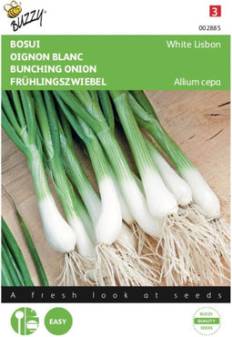 2 stuks - Buzzy - Uien Bosuien White Lisbon