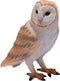 Mojo Wildlife Kerkuil - 381054