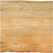 vidaXL - Tafelblad - met - natuurlijke - rand - 40x40x3,8 - cm - massief - mangohout