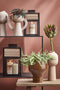 House of Seasons Saga Lantaarn - L21 x B20,5 x H35 cm - Zwart