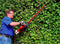 Einhell Elektrische Heggenschaar GC-EH 6055/1 - 600 W - Snoeilengte 55 cm - Tandafstand 26 mm