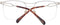 Scotch & Soda SS2015 53402 bril zonder sterke - Heren - Bruin