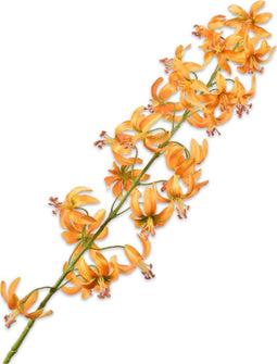 Silk-ka Zijden Bloem-Kunstbloem Lelie Steel Geel 105 cm