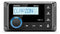 Clarion CMM10i marine radio Bluetooth / DAP+