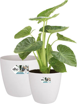 Elho Brussels Rond Wielen - Grote Bloempotten - 100% Gerecycled Plastic - Ø 35 40 cm - Wit (2 stuks)