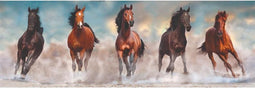 Clementoni - Puzzel 1000 Stukjes High Quality Collection - Horses Puzzel Voor Volwassenen en Kinderen, 14-99 jaar, 39607