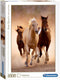 Clementoni - Puzzel 1000 Stukjes - High Quality - Rennende paarden - Puzzel voor volwassenen
