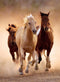 Clementoni - Puzzel 1000 Stukjes - High Quality - Rennende paarden - Puzzel voor volwassenen