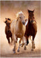 Clementoni - Puzzel 1000 Stukjes - High Quality - Rennende paarden - Puzzel voor volwassenen
