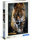 Clementoni - Puzzel - 1000 Stukjes - Walk of the Jaguar - Puzzel Voor Volwassenen - High Quality Collection