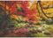 Clementoni - Puzzel 1500 Stukjes High Quality Collection, Autumn Park, Puzzel Voor Volwassenen en Kinderen, 14-99 jaar, 31820