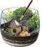 Clementoni - Terrarium Harry Potter