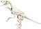 Clementoni Wetenschap & Spel, Velociraptor, 7+ jaar - 66952