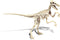 Clementoni Wetenschap & Spel, Velociraptor, 7+ jaar - 66952