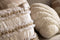 Dutch Decor YUNA - Sierkussen 30x50 cm - met schelpen - Snow White - wit - Inclusief binnenkussen