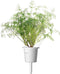 click and grow Dill plant pods