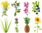 Click And Grow navulling - Experimenteel - 3 pack