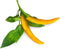Click and Grow Navulling - Gele Chili
