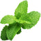 Click And Grow navulling - Munt
