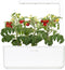 Click and Grow - Smart Garden 3 - Wit
