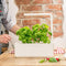 Click and Grow - Smart Garden 3 - Wit