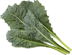 Click & Grow Italian Kale / 3-pack