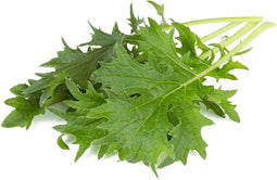 Click & Grow Mizuna / 3-pack