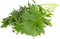 Click & Grow Mizuna / 3-pack