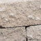 Cliff Walling 30 x 12 x 12 cm