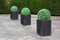 Feel Furniture Rotan Plantenbak – Ingebouwd Irrigatiesysteem – Model Zeta