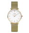 Cluse Minuit Mesh White, Gold Colour