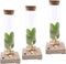 Clusia in Tube met LED verlichting - 20 cm