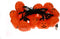 Cosy&Trendy Halloween Pompoen Licht slinger - Lampjes in vorm van Pompoen - LED - 300CM - Decoratie - Horror