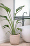 Capi Europe - Bloempot Waste Rib NL - 43x41 cm - Terrazzo grijs - Breukbestendig - 100% recyclebaar