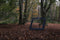 BLITS rebounder - verstelbaar - 124 x 124 cm - Zwart