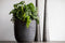 Capi Europe - Bloempot Waste Rib NL - 43x41 cm - Terrazzo grijs - Breukbestendig - 100% recyclebaar