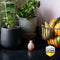 Home Defense - Fruitvliegjesval - Effectief tot 30 dagen - Geel