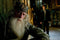 Harry Potter - Complete 8 Film Collection (DVD)