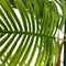 Decoratieve plant Groen PVC 170 cm Palmboom