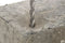 Wolfcraft 7831010 - Hardmetalen boor - SDS-Plus schachteinde voor metselwerk en beton