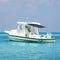 vidaXL - Schaduwdoekset - T-top - 174x205x(115-194) - cm - marineblauw