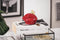 Housevitamin – Keramiek Beeldje / Spaarpot – 11x8x12 cm - Rood
