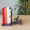 Balvi Boekensteun - Postman