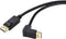 Renkforce SP-9163728 - DisplayPort Aansluitkabel - 1.00 m - 4K 60 Hz - Zwart