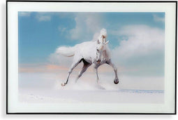 Schilderij Versa Paard Kristal Hout MDF (2 x 60 x 40 cm)