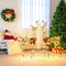 Coast 2-Delige Verlichte Rendier Kerstdecoratie - 200 LED - 70 x 36 x 110 cm - Bruin