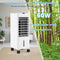 Coast Airconditioning - 60 W - 44 dB - Zonder Afvoerslang - 3 Modi - 12-Uurs Timer - 25,5x22x59 cm -